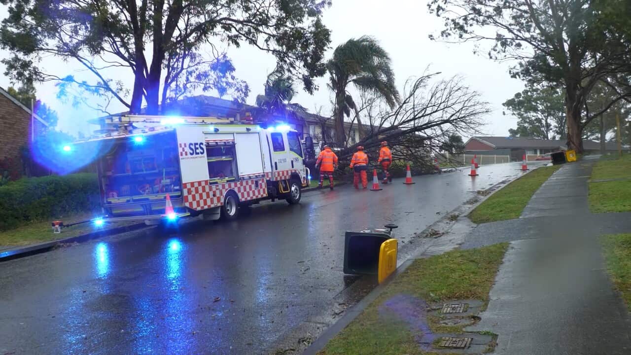 NSW STORMS