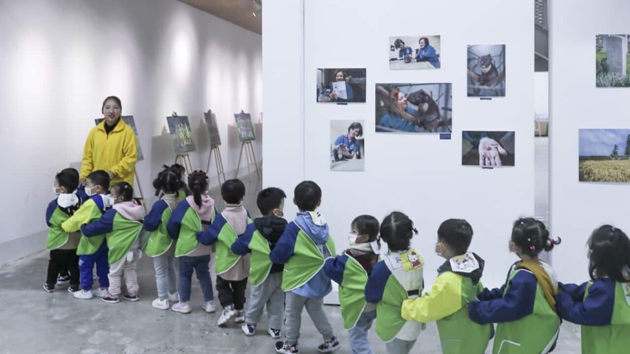 Image for read more article ''