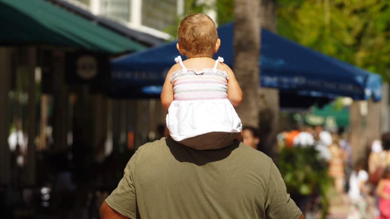 Father Carrying his little baby on his shoulders.