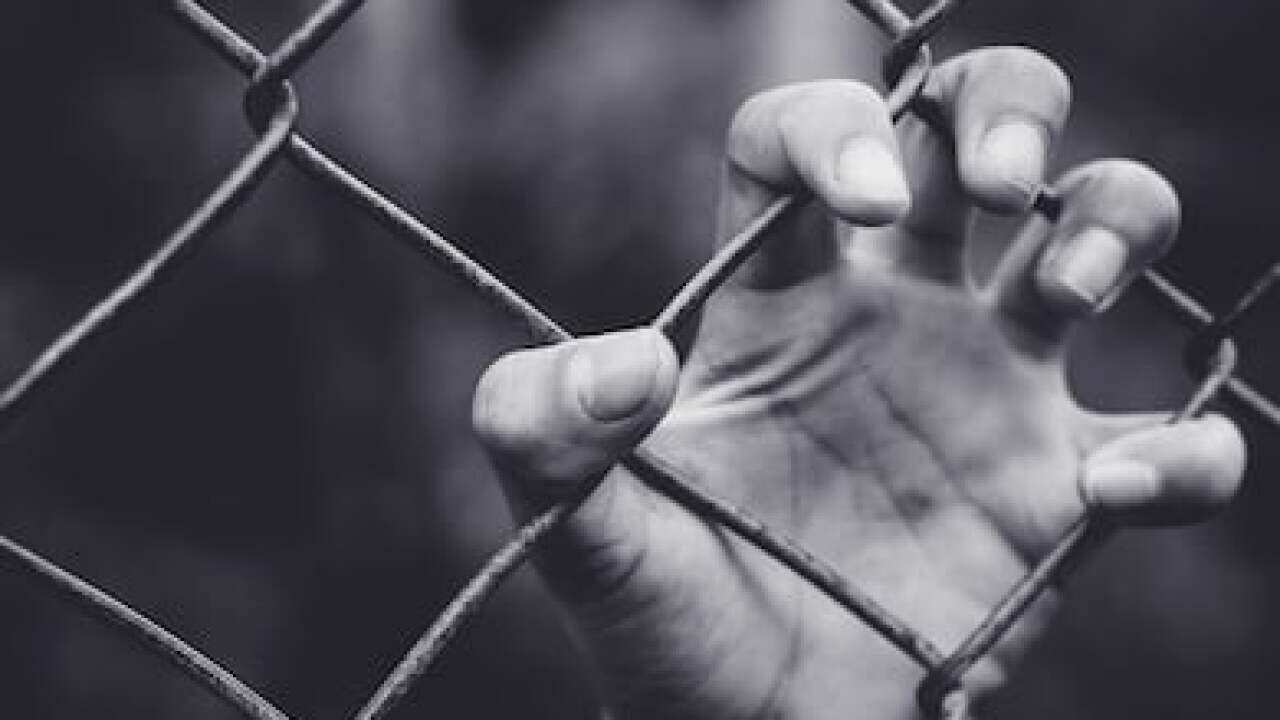 seeking freedom