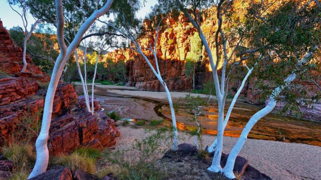 Image for read more article ''