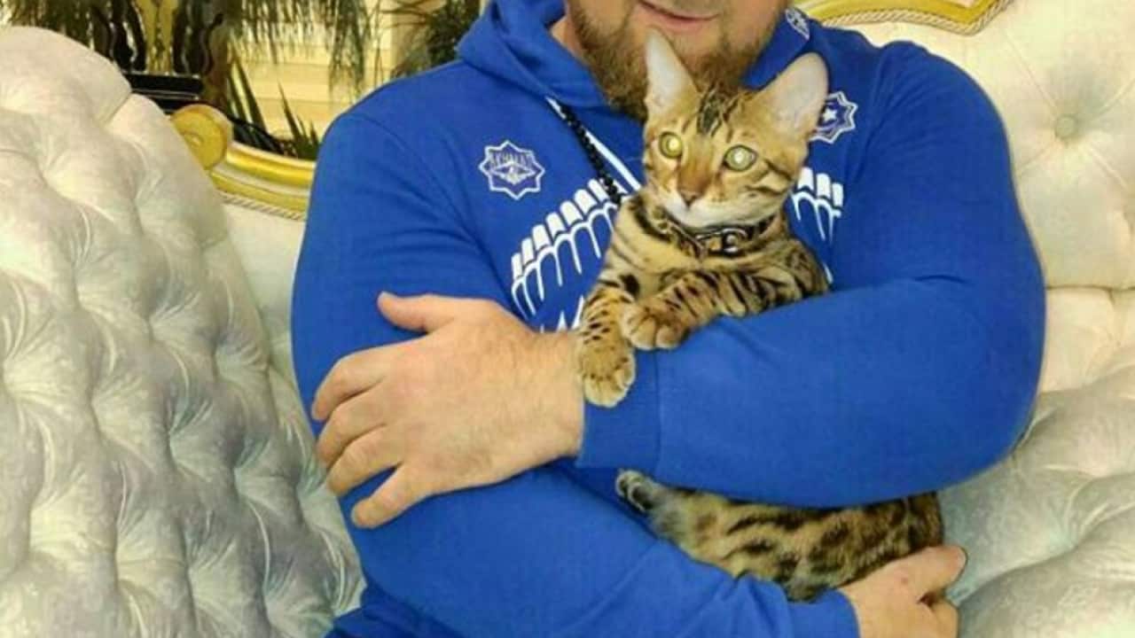 Ramzan Kadyrov cuddles a cat in an Instagram post.