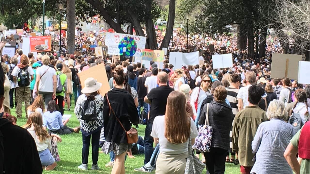 Part of the Climate Strike crowd at Melbourne’s Treasury Gardens
