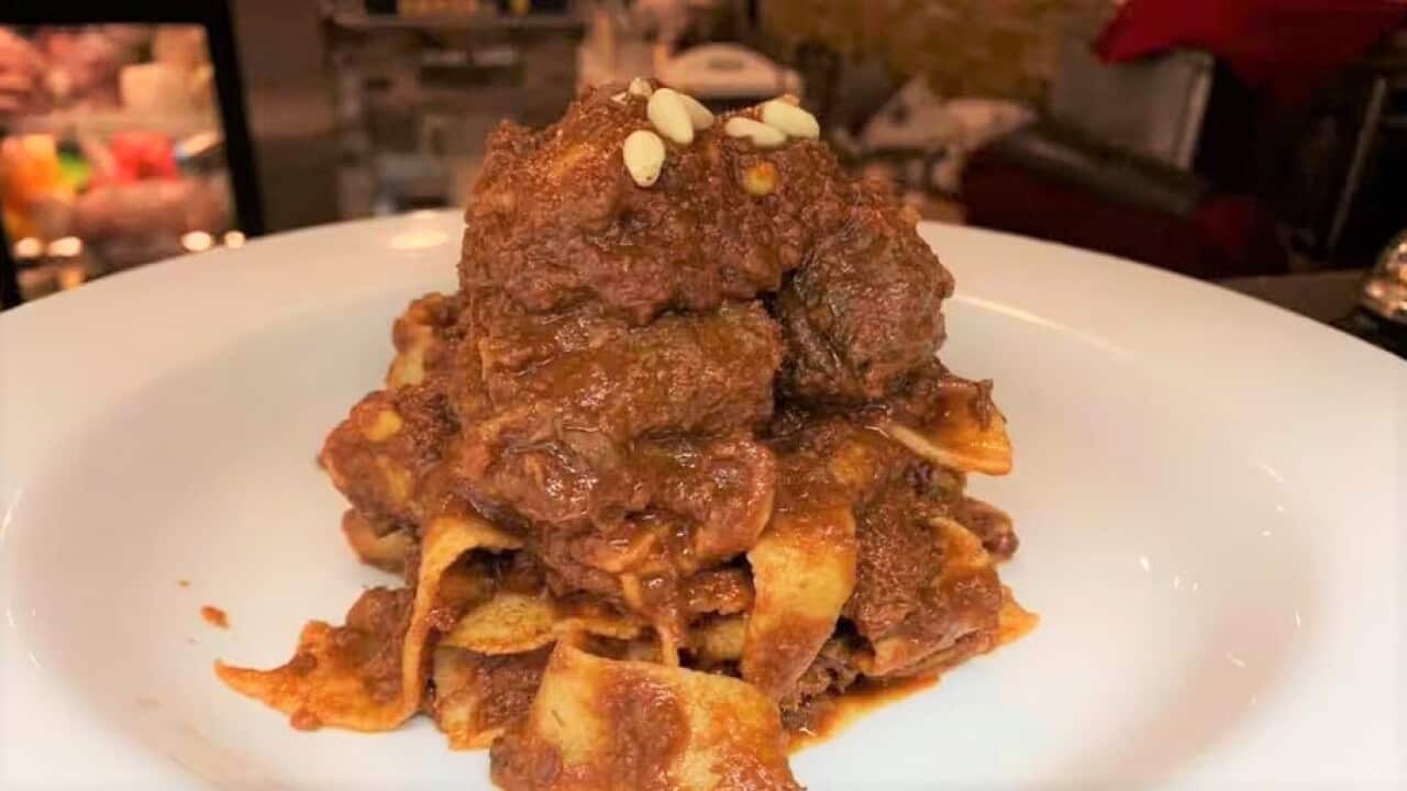 Wild boar in the woods of Tuscany