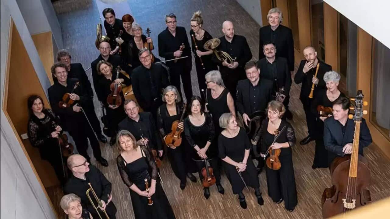 FBO ensemble.jpg