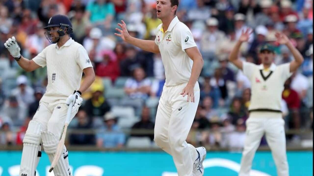 cricket