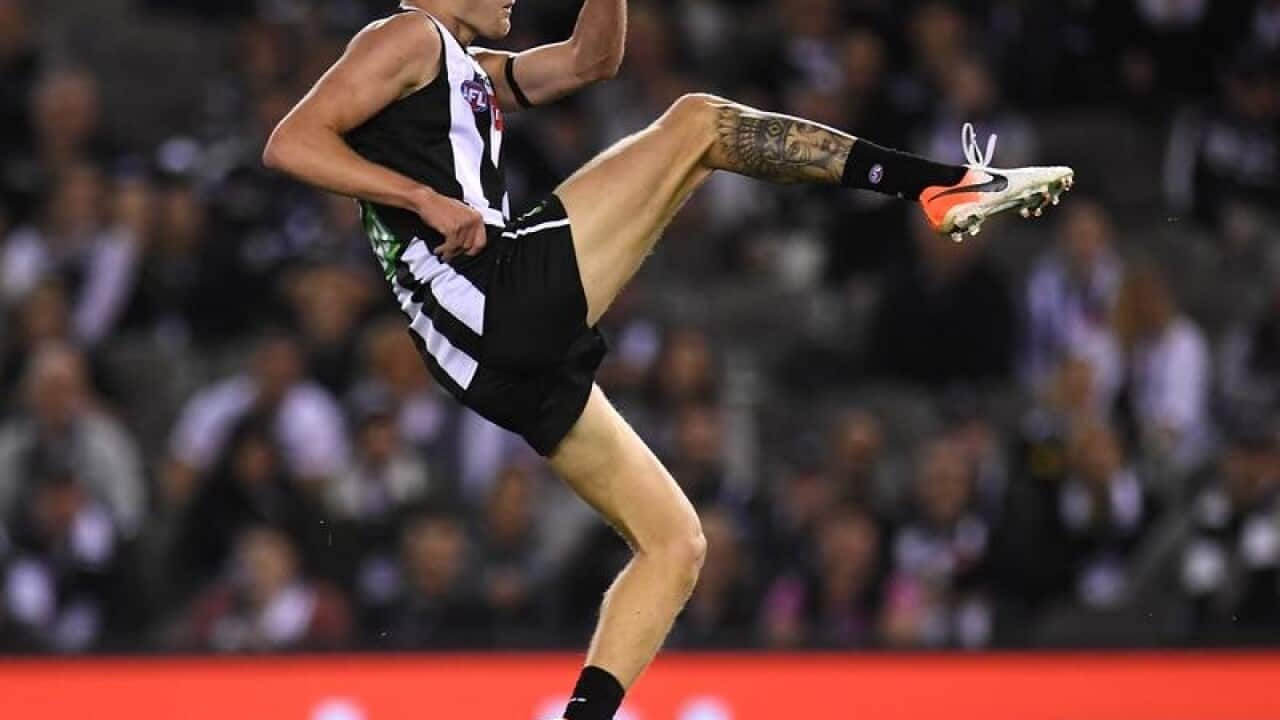 Magpies