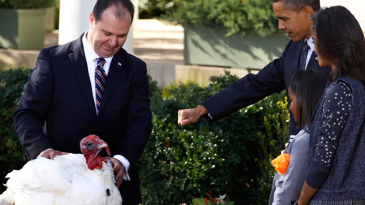 obama_turkey_thanksgiving_101125_B_reuters_160504671
