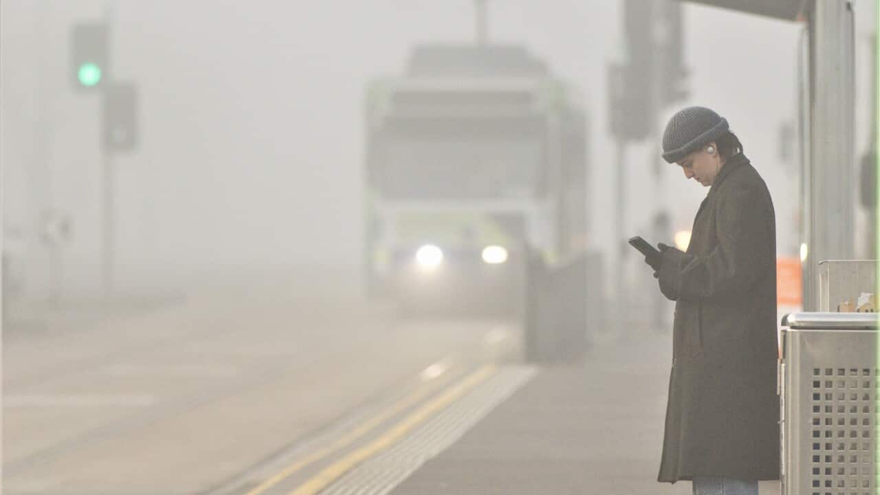 A tram stop on Flemington Road, Melbourne, July 4, 2024