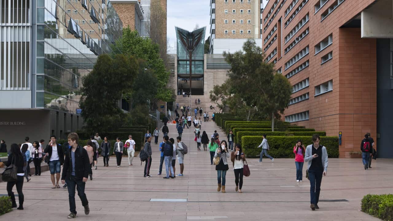 Il campus della University of New South Wales.