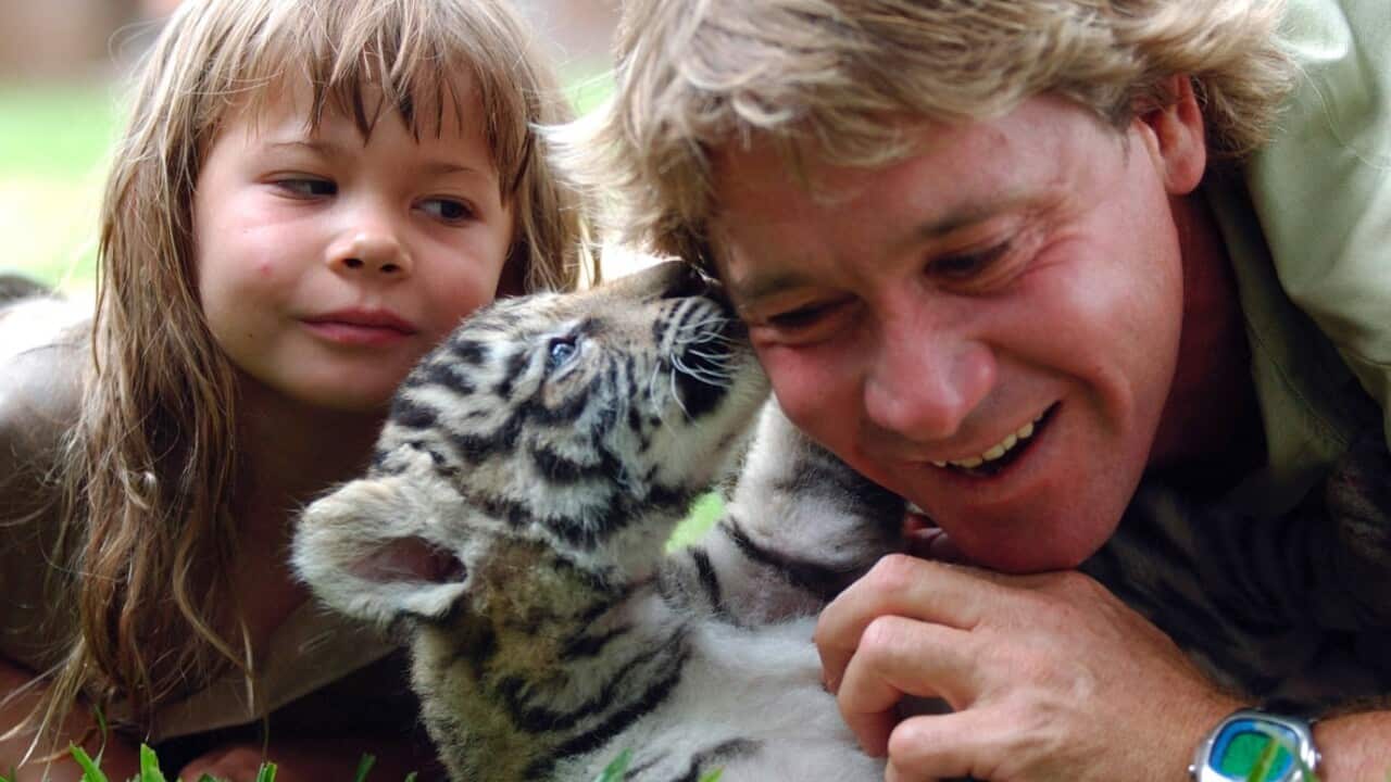 A December 24, 2003 file photo of the Crocodile Hunter Steve Irwin, and his daughter Bindi Irwin with one of three six-week-old Bengal tiger cubs
