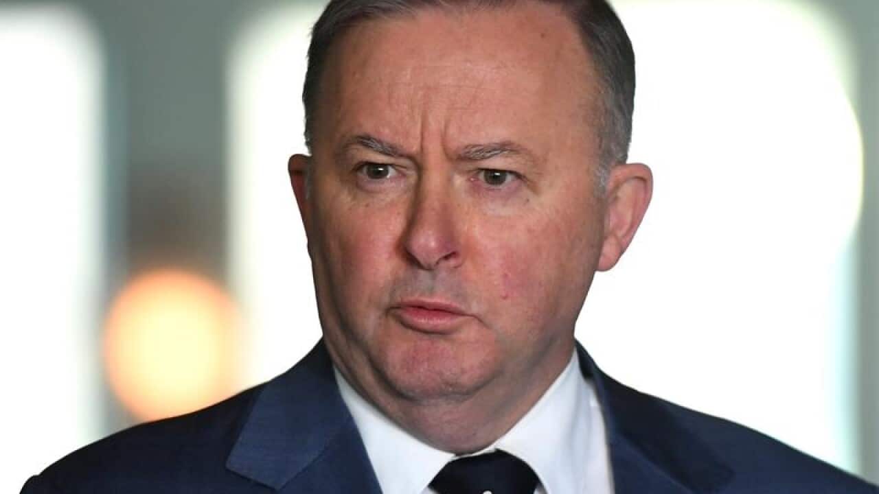 Labor Leader Anthony Albanese arrives at Parliament House.