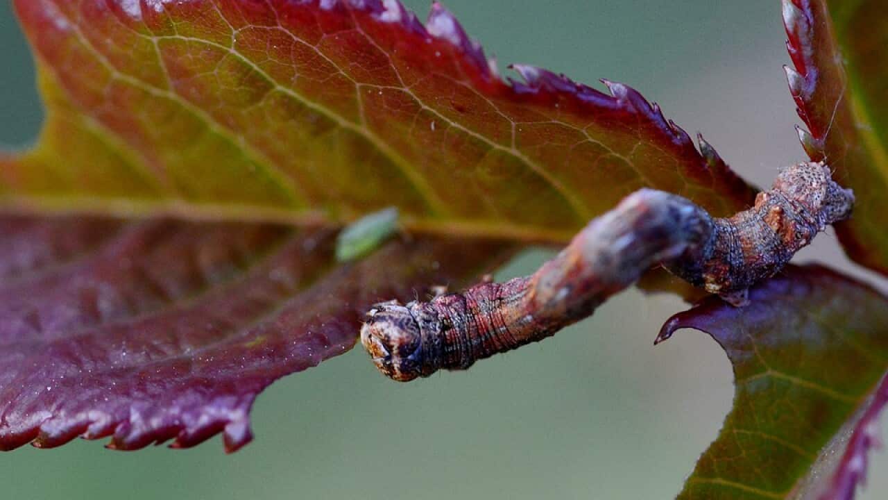 Image for read more article ''