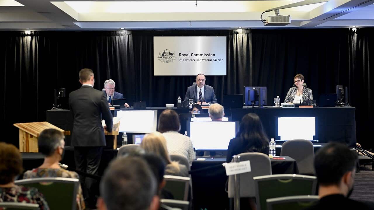 A royal commission investigating defence and veteran suicide hears from those who've had suicidal ideation and families of those who have taken their lives.