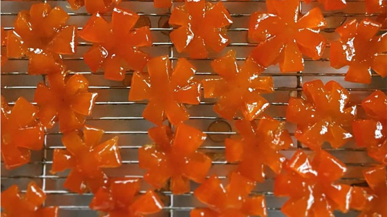 Candied cumquat flowers