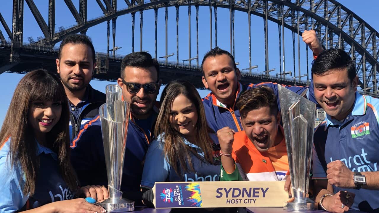 India cricket team fans.