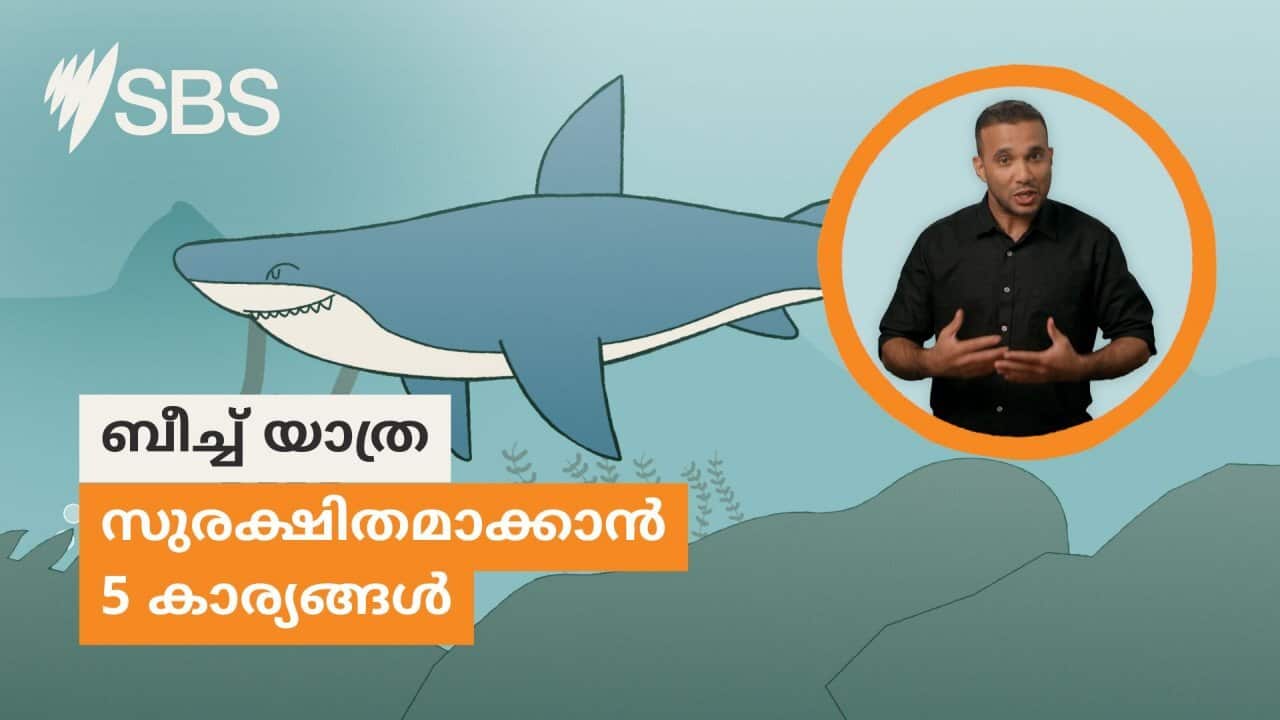 MALAYALAM| 5 tips for staying safe at the beach