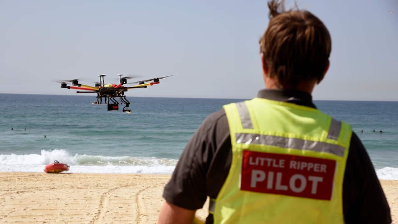 A pilot looks on as Surf Life Saving NSW’s Little Ripper drone patrols a beach in Sydney