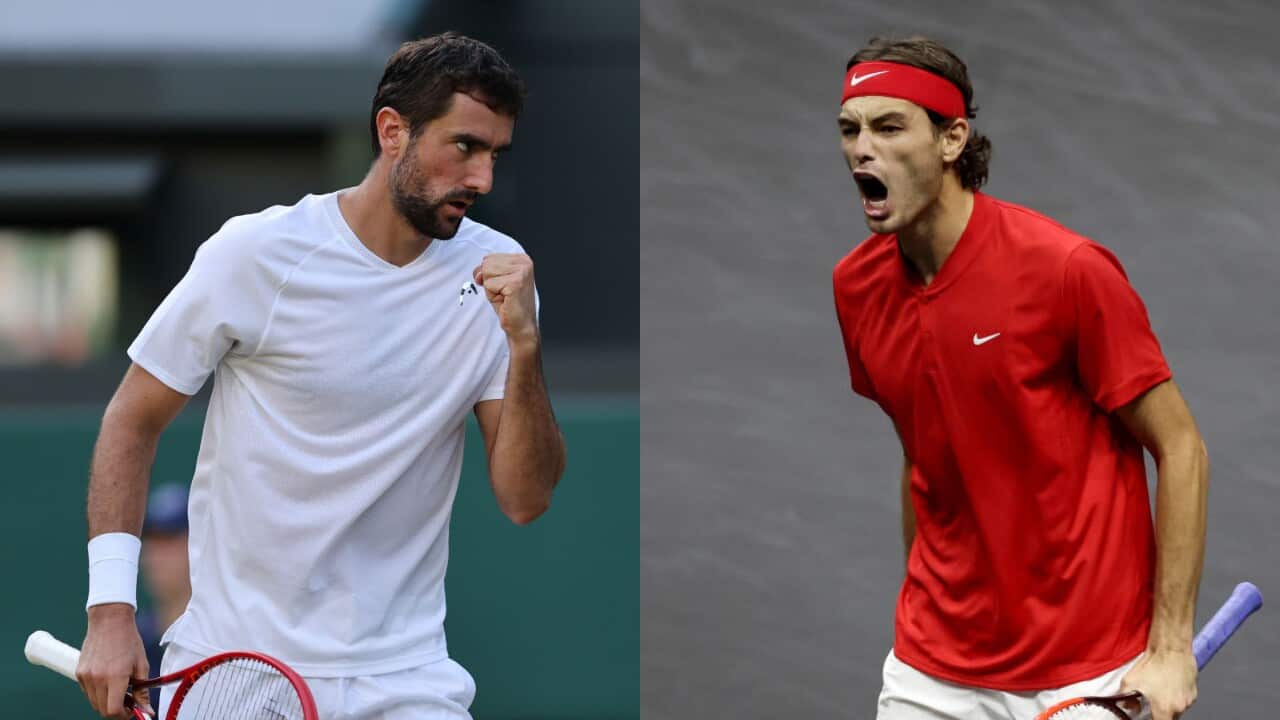 cilic fritz.jpg