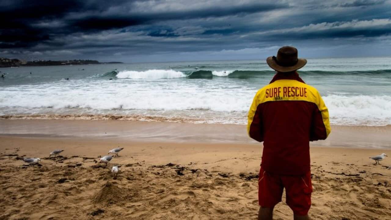 Lifeguard