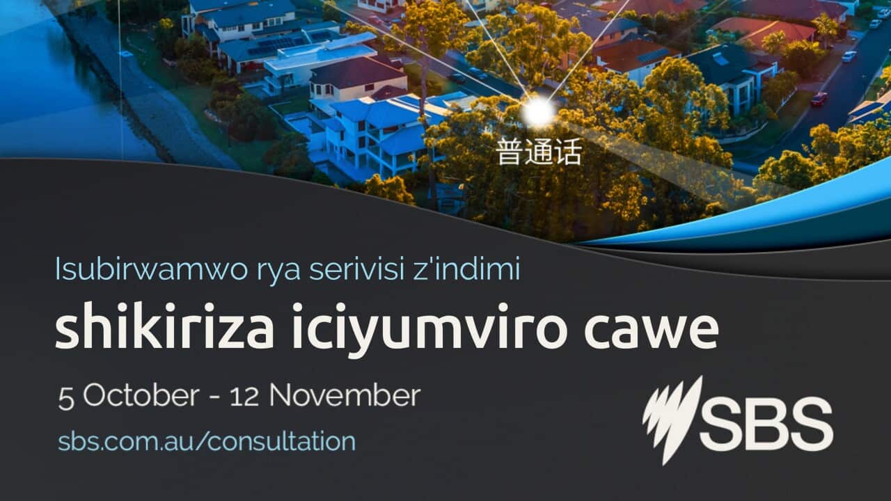 ALC and Language services