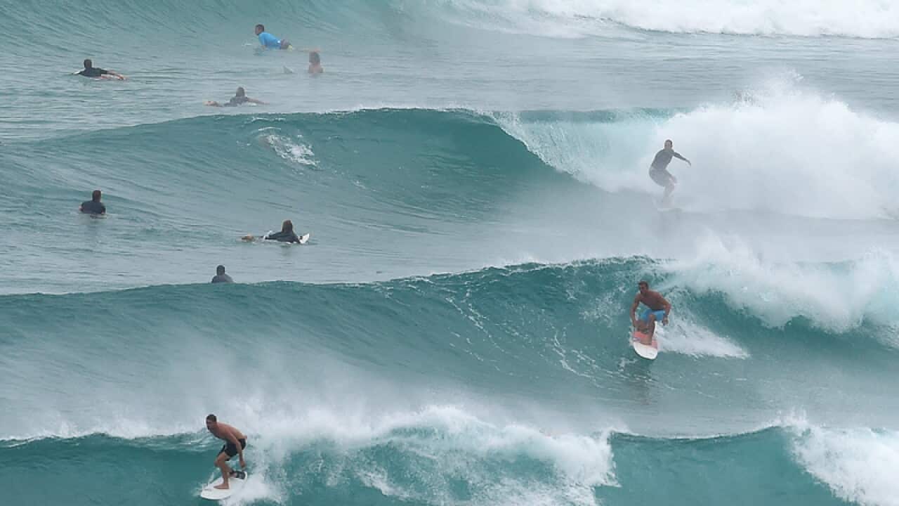 Surfers enjoy large swells at Snapper Rocks on the Gold Coast