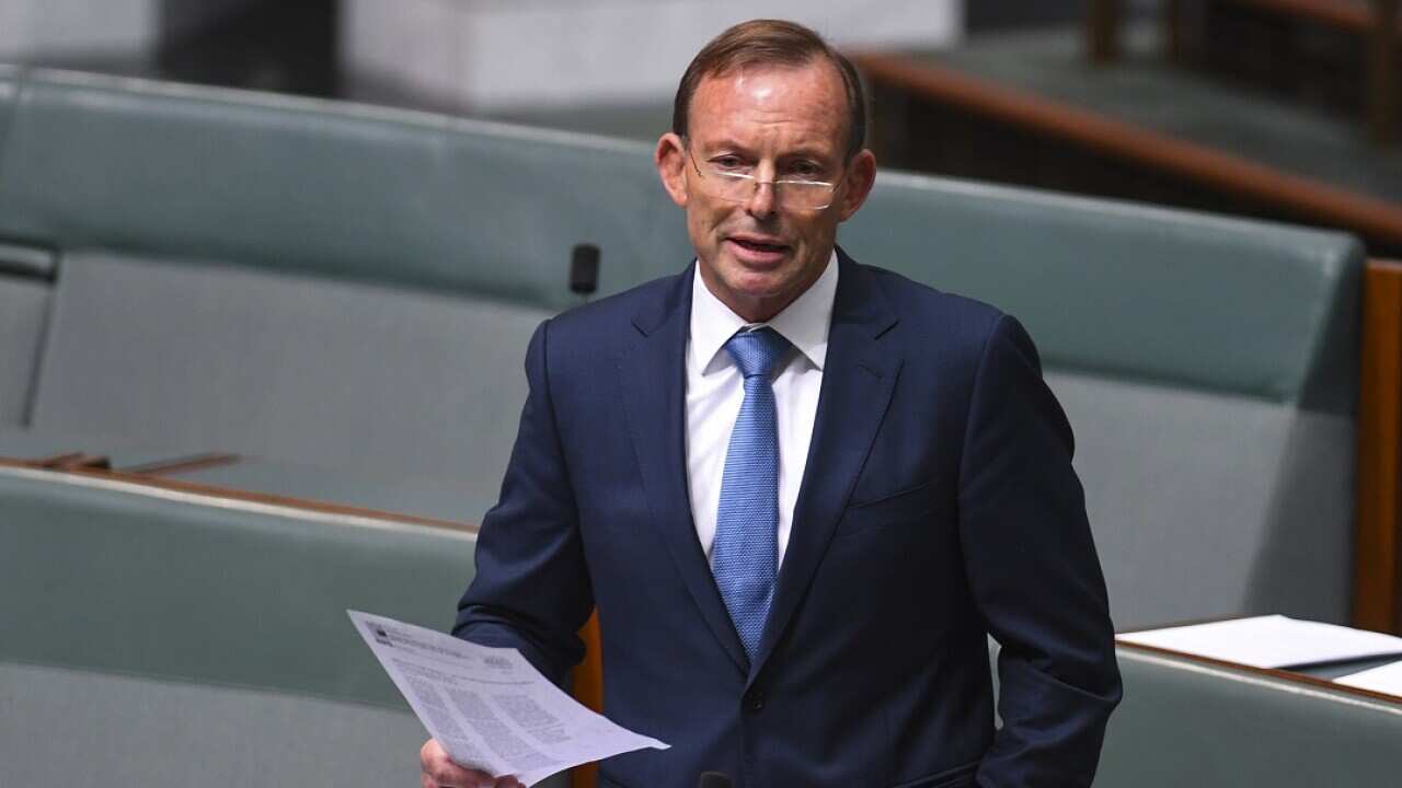 Former prime minister Tony Abbott says the rate of immigration in Australia needs to be scaled back but the government is "pro-immigrant".