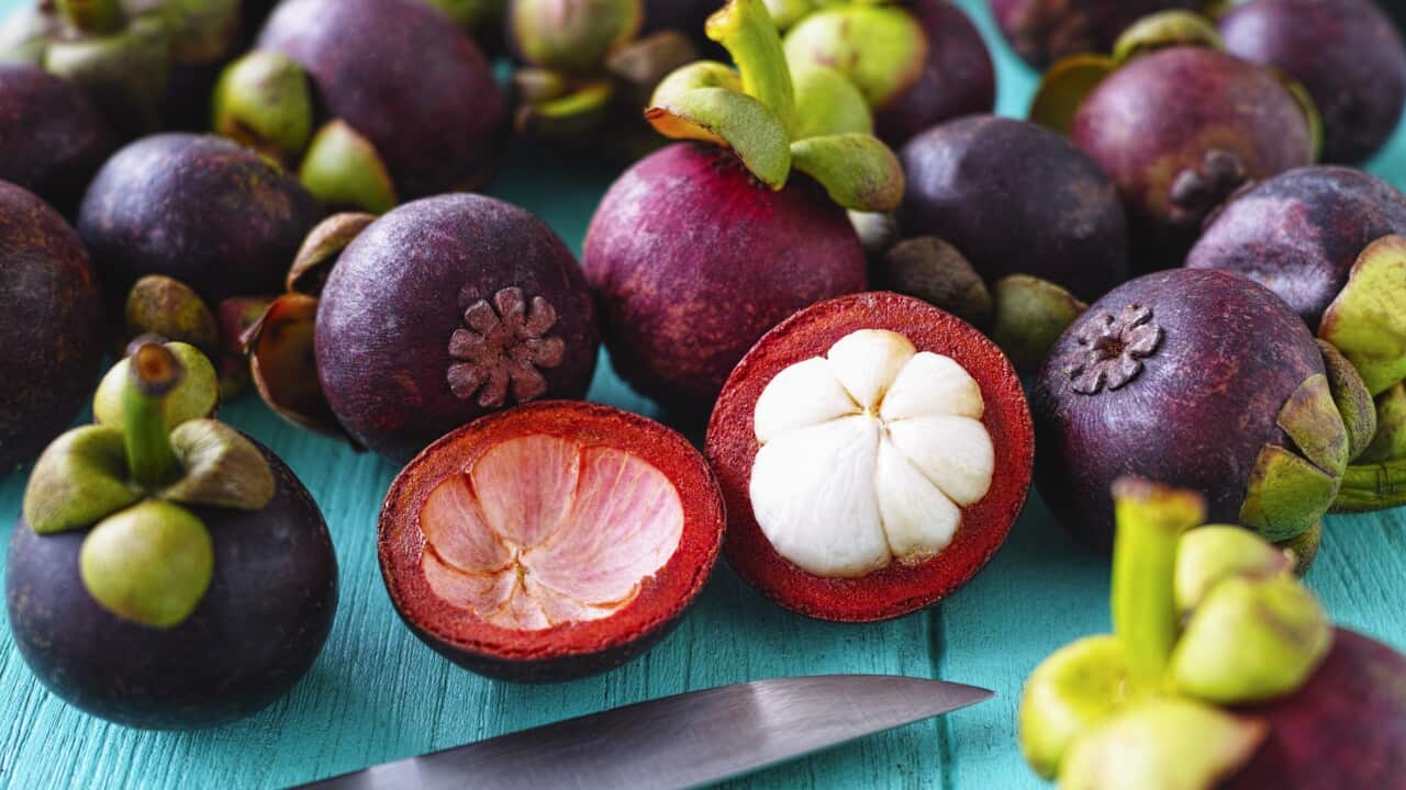 Traditionally, people from these countries have used mangosteen peel to treat abdominal pain, diarrhoea, dysentery, infected wounds and chronic ulcers.