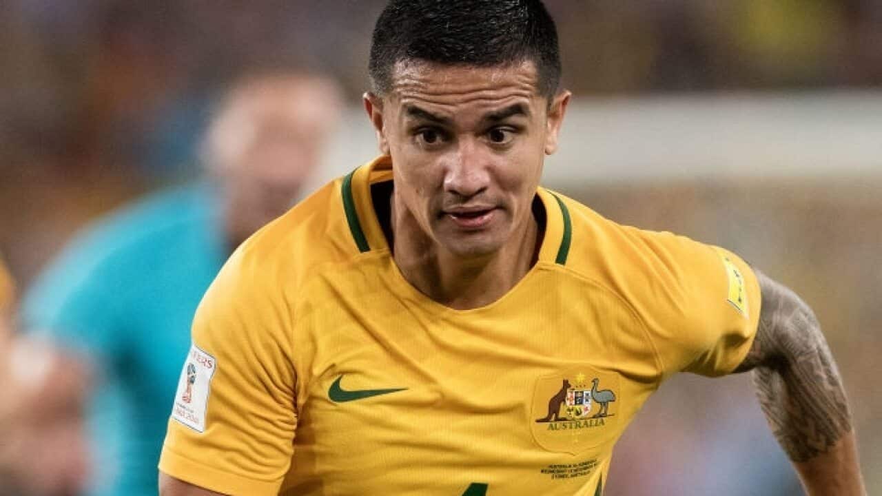 Tim Cahill