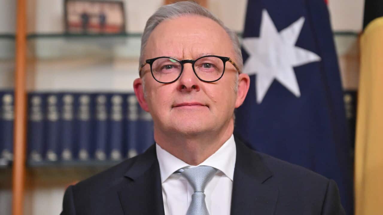 Prime Minister Anthony Albanese, wearing a suit, tie, and glasses, is seated at a desk delivering a speech.