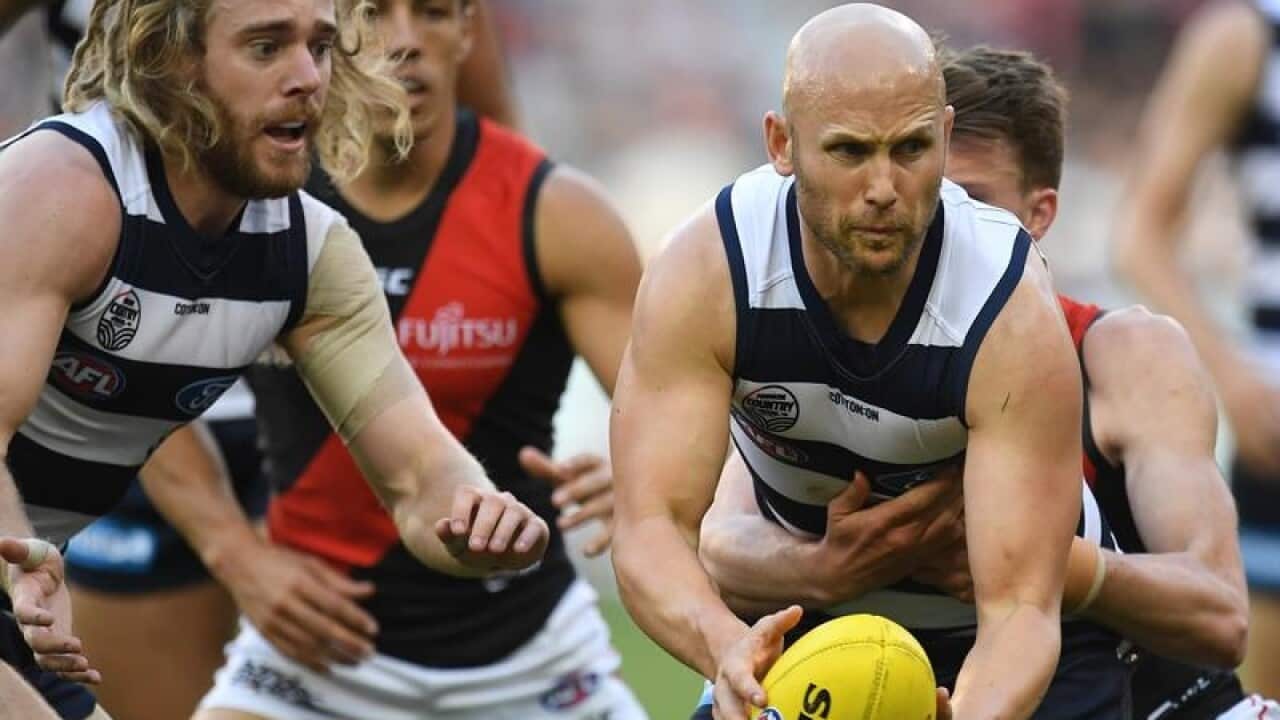 Geelong Cats star Gary Ablett
