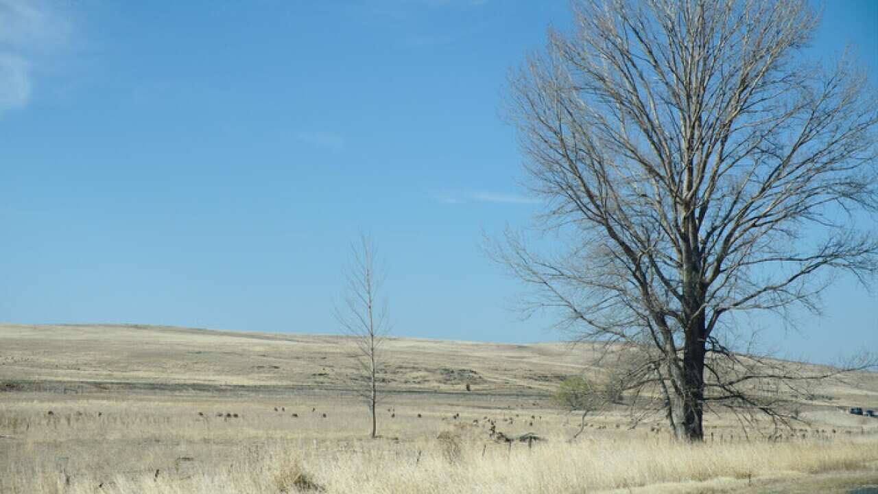 Winter drought in Bunyan, NSW, Australia
