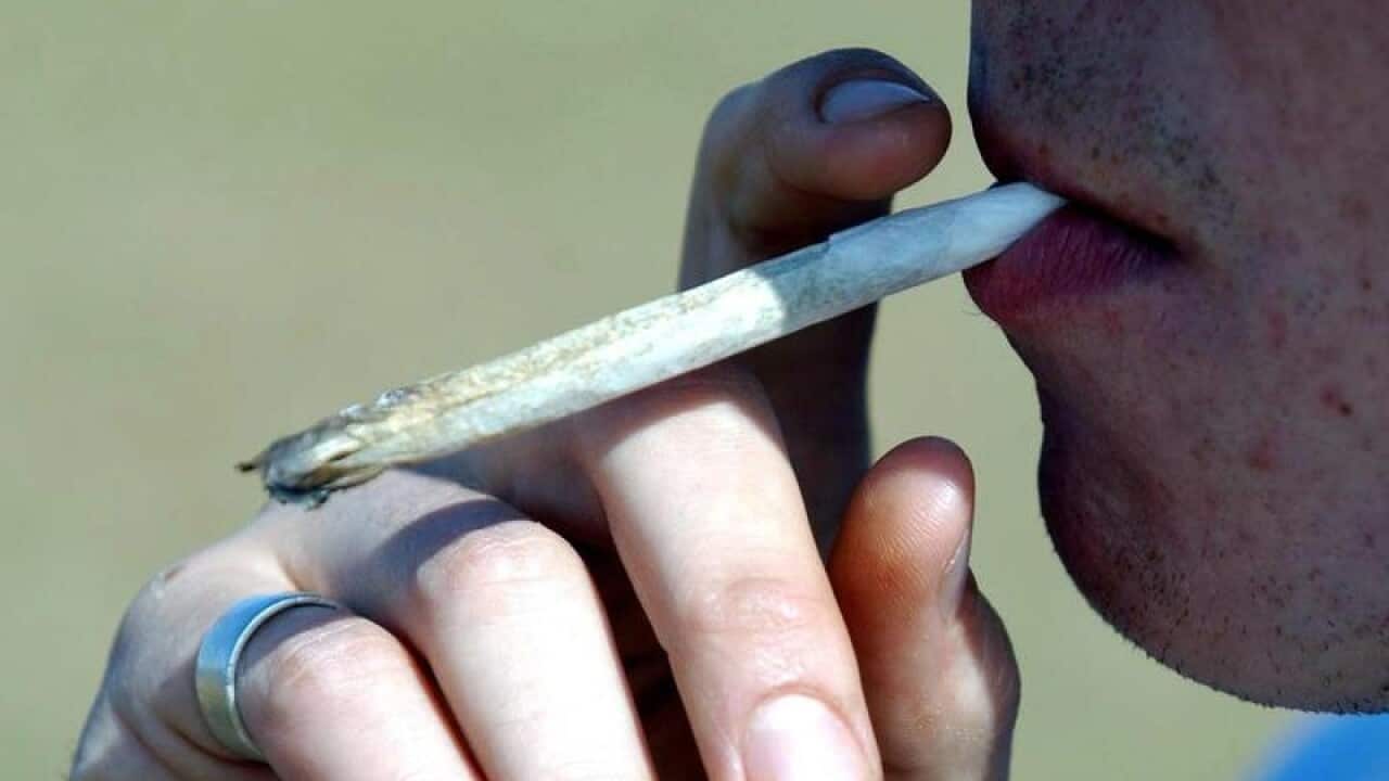The report found cannabis consumption was higher in regional Australia than cities.