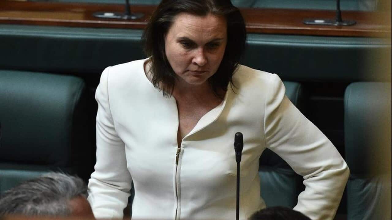 File image of Jane Garrett in the Victorian parliament
