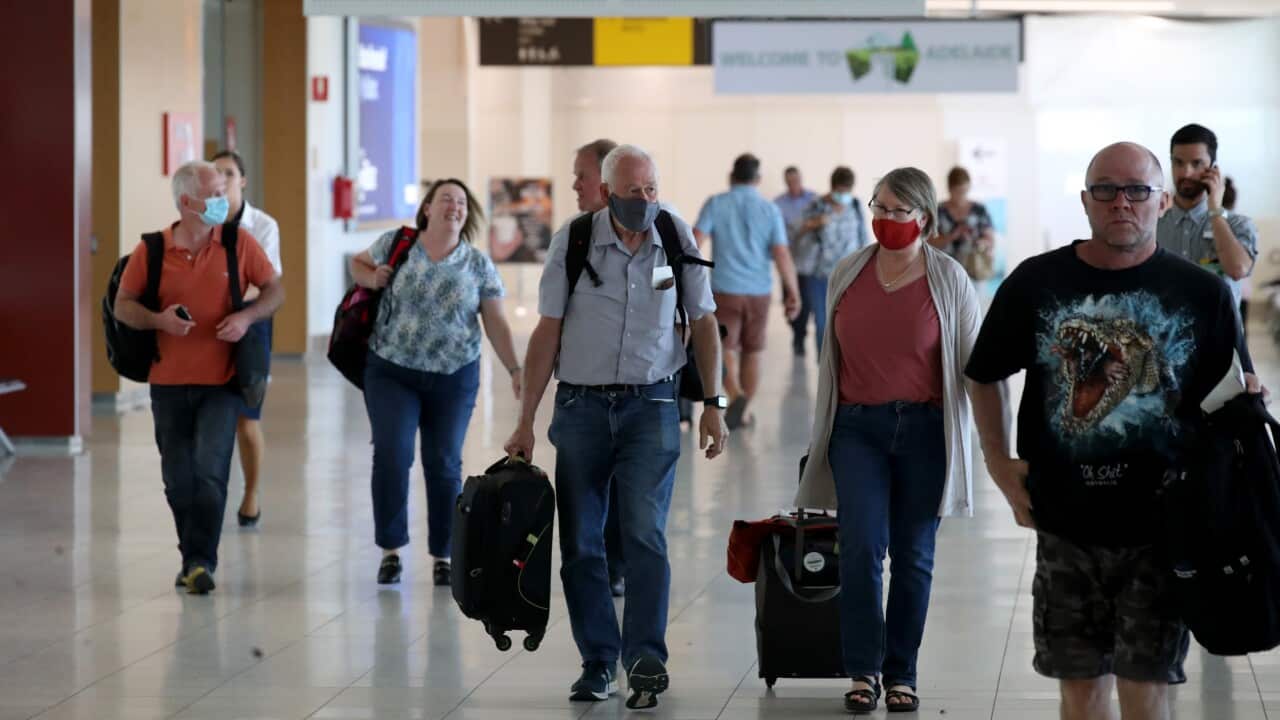 Authorities in SA have apologised over confusion at Adelaide Airport for Sydney arrivals.