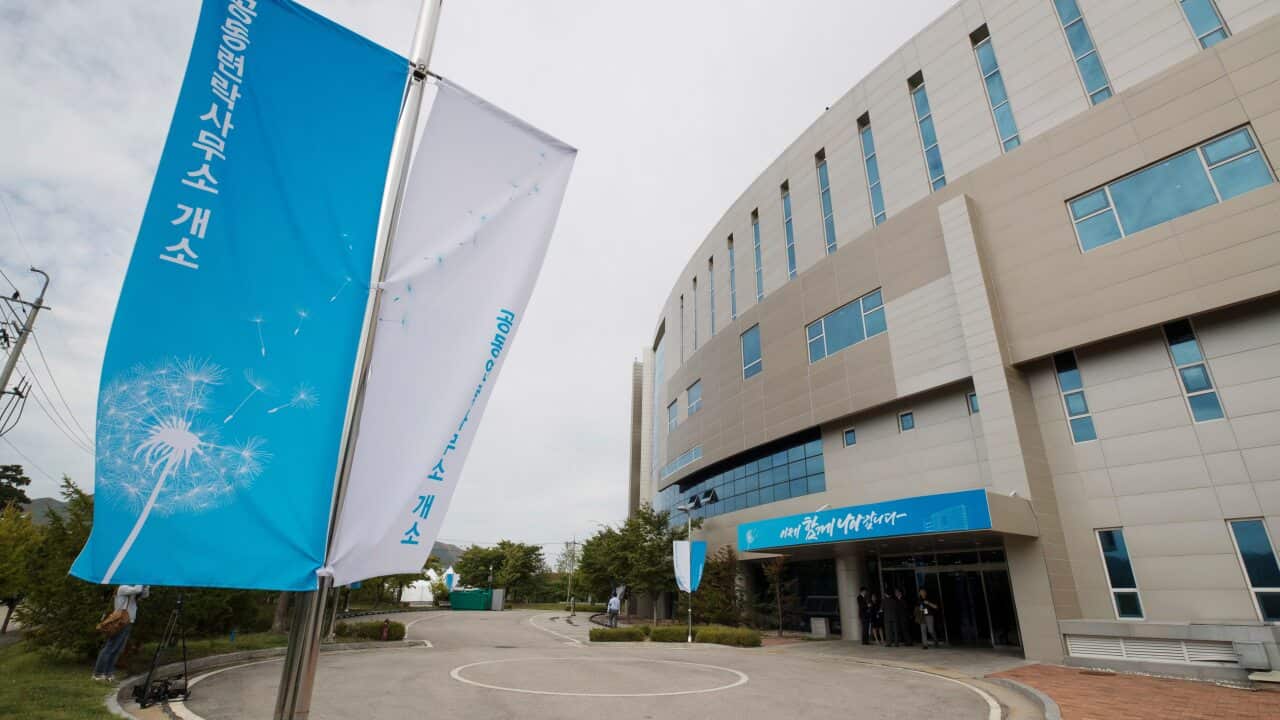 Image for read more article 'READ MORE'