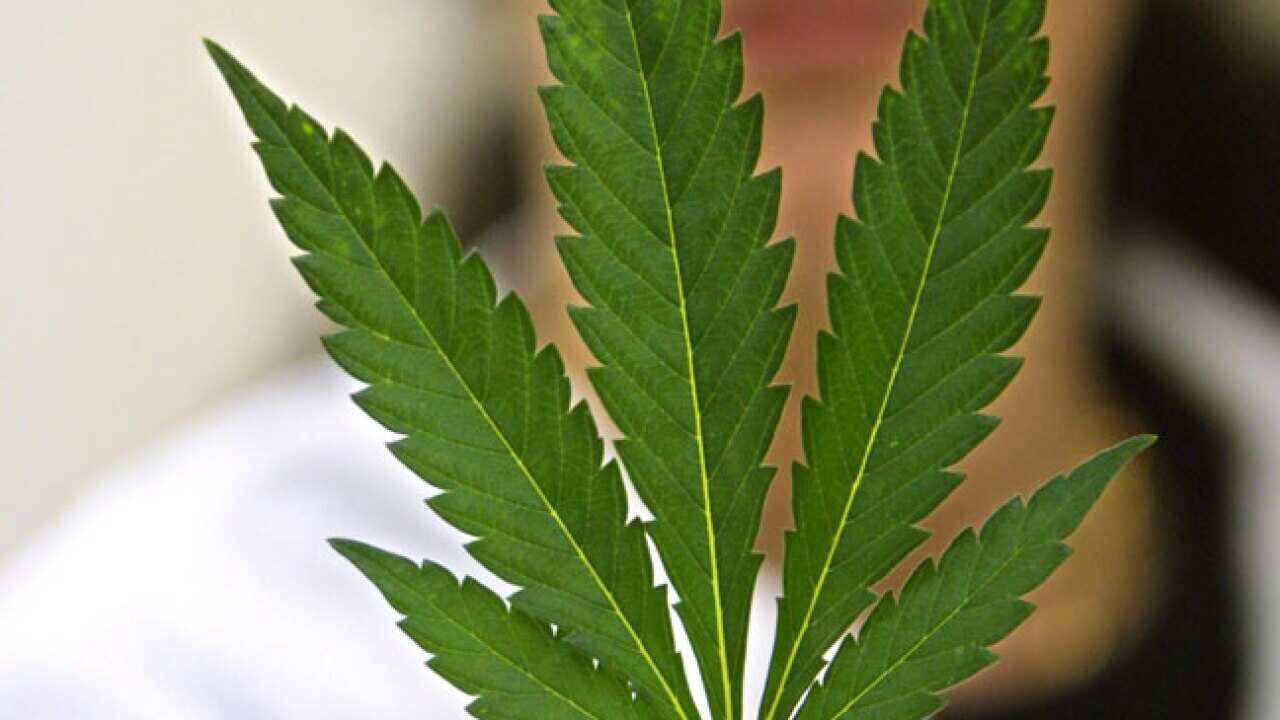 Marijuana_leaf_B_111012_Getty_1540806486