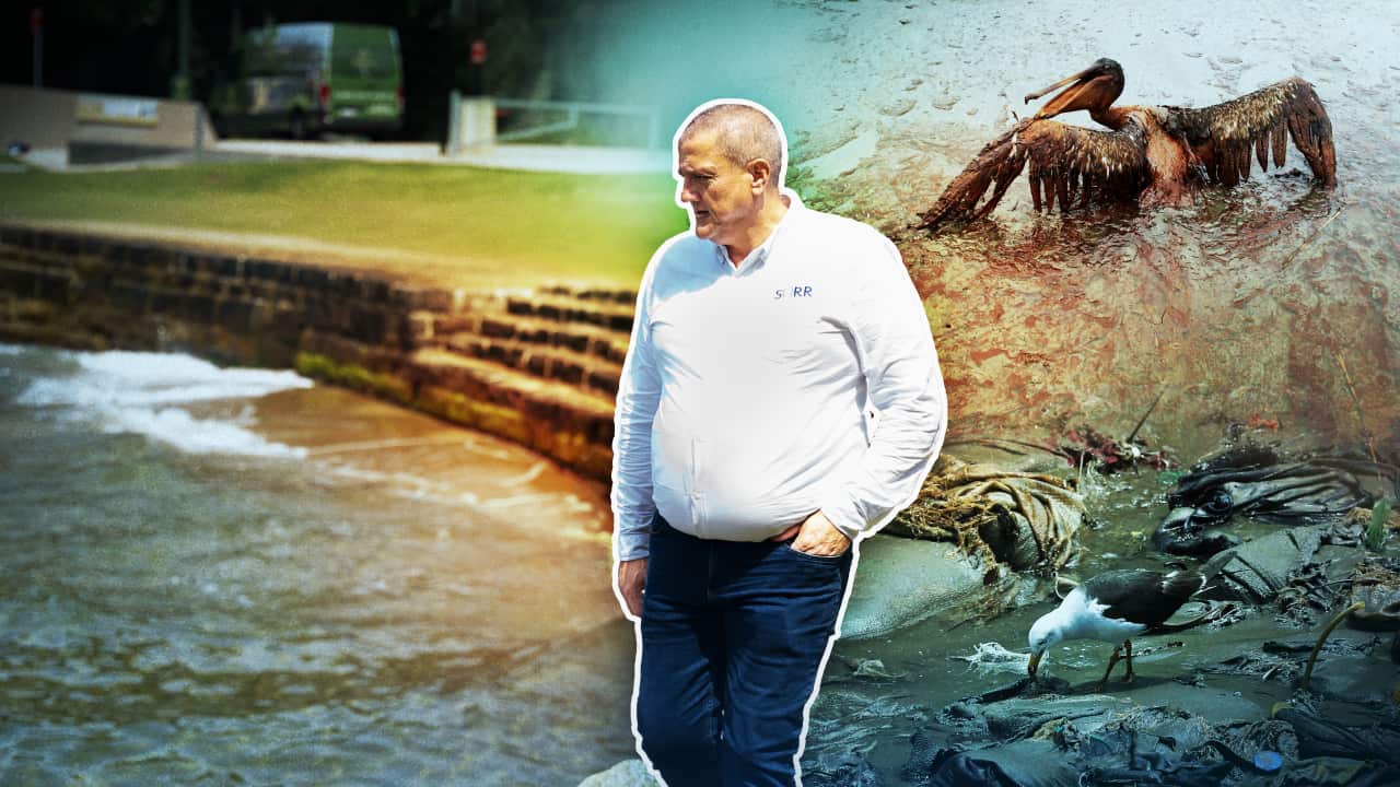 A graphic image showing a man walking by the water that also features pictures of birds in oil slick.