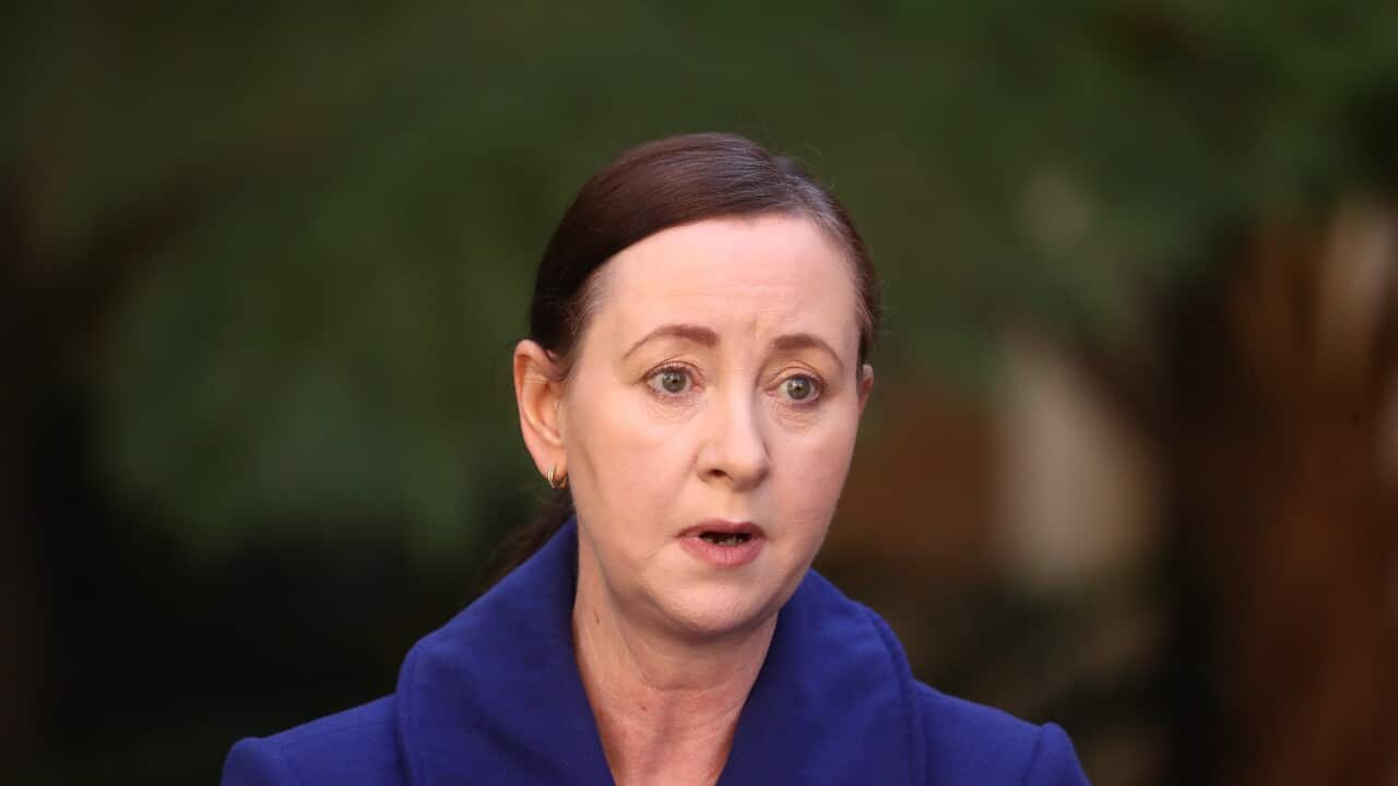 Health Minister Yvette D'Ath speaks to the media