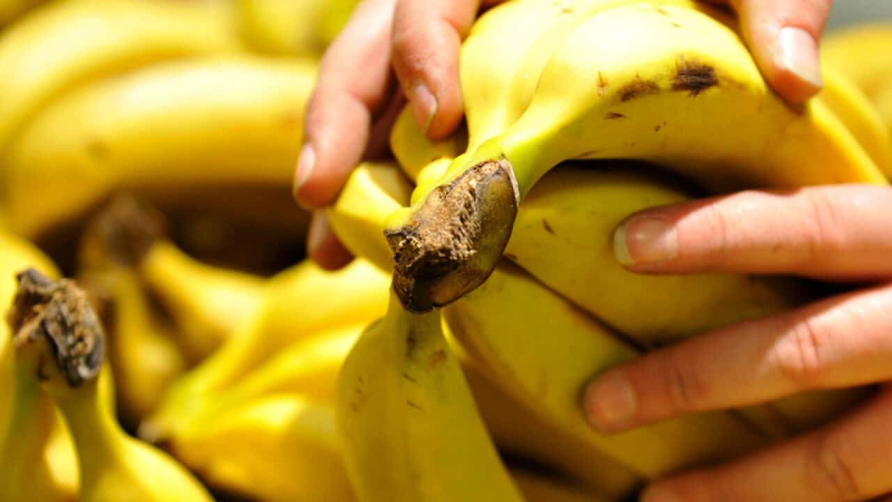 A bunch of bananas in a supermarket
