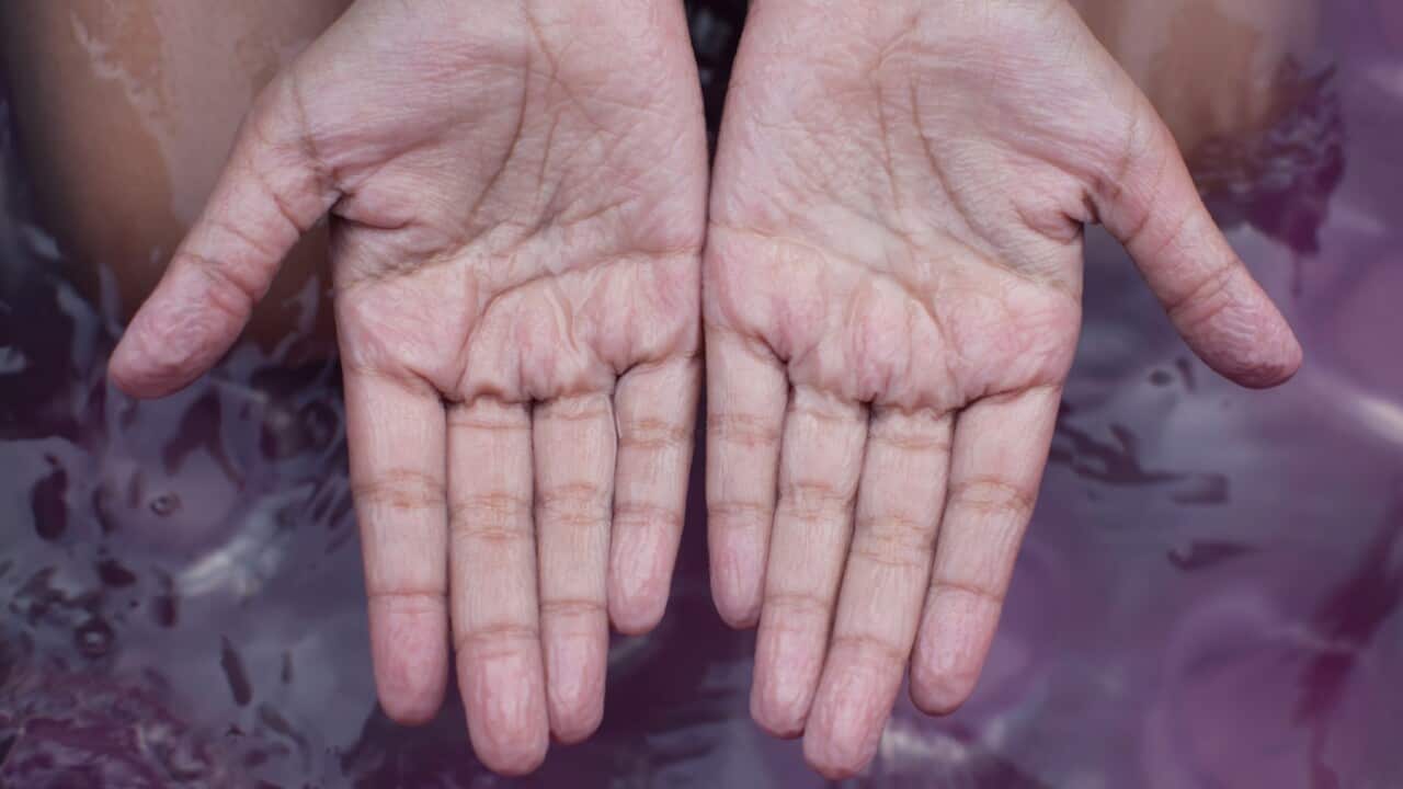 Image for read more article 'READ MORE'