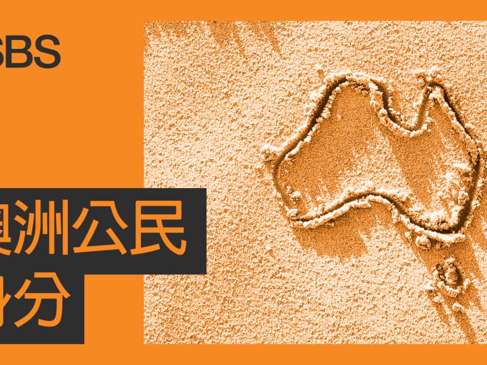 LE_Citizenship_SBS Web Banner_ ChTrad.png