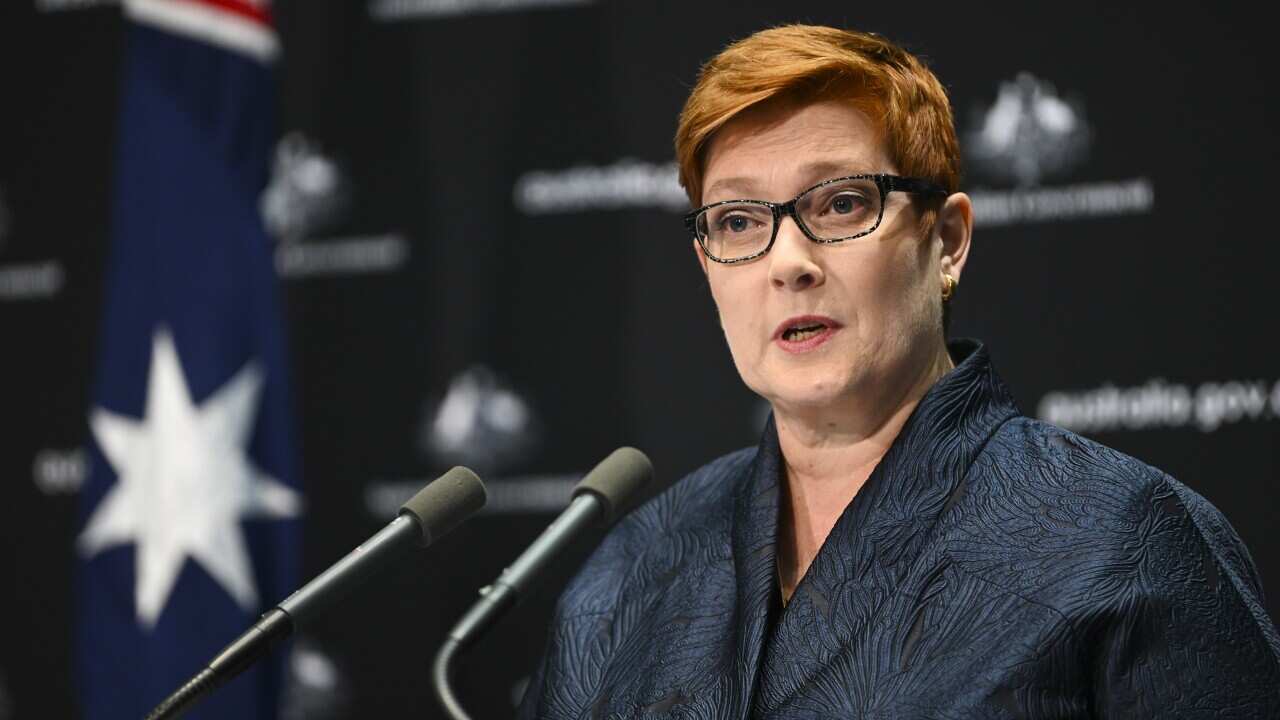 Foreign Minister Marise Payne at Parliament House in Canberra.