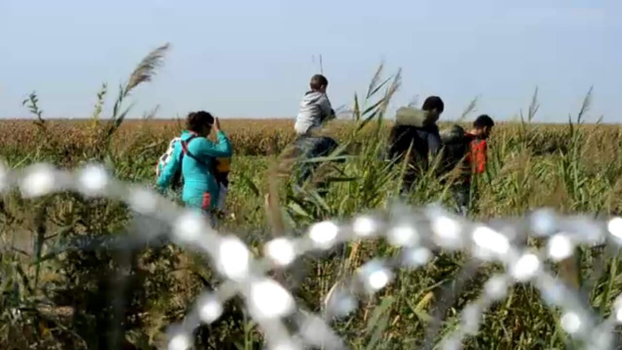 Peor crisis de refugiados en Europa