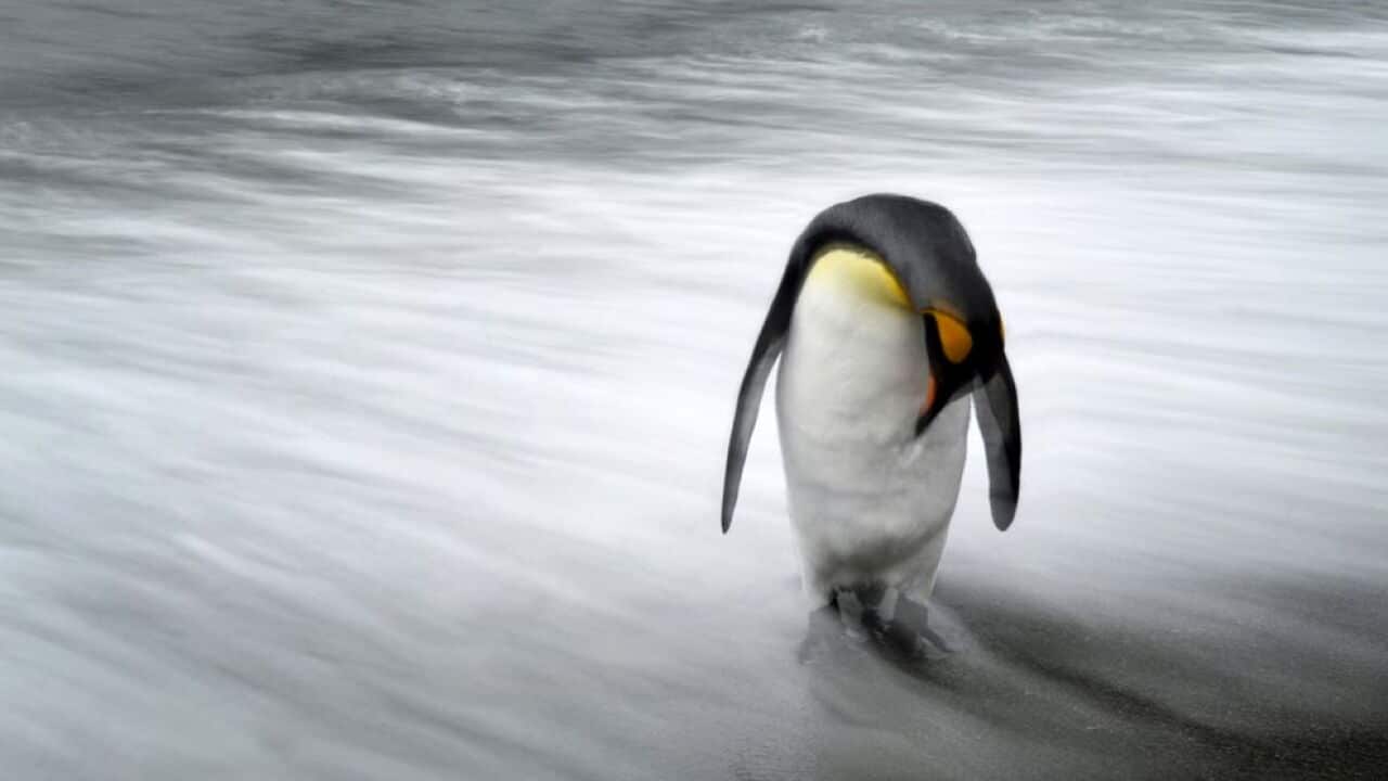 The Bad News: Climate Change Now Screwing With Gravity