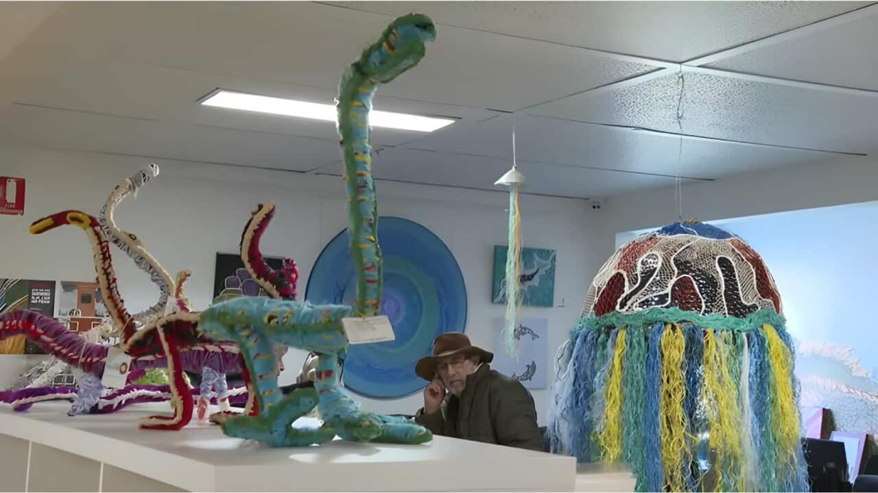 Sanat eserlerinden bazıları Ceduna'da sergileniyor