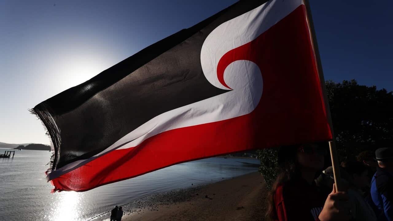 Maori flag