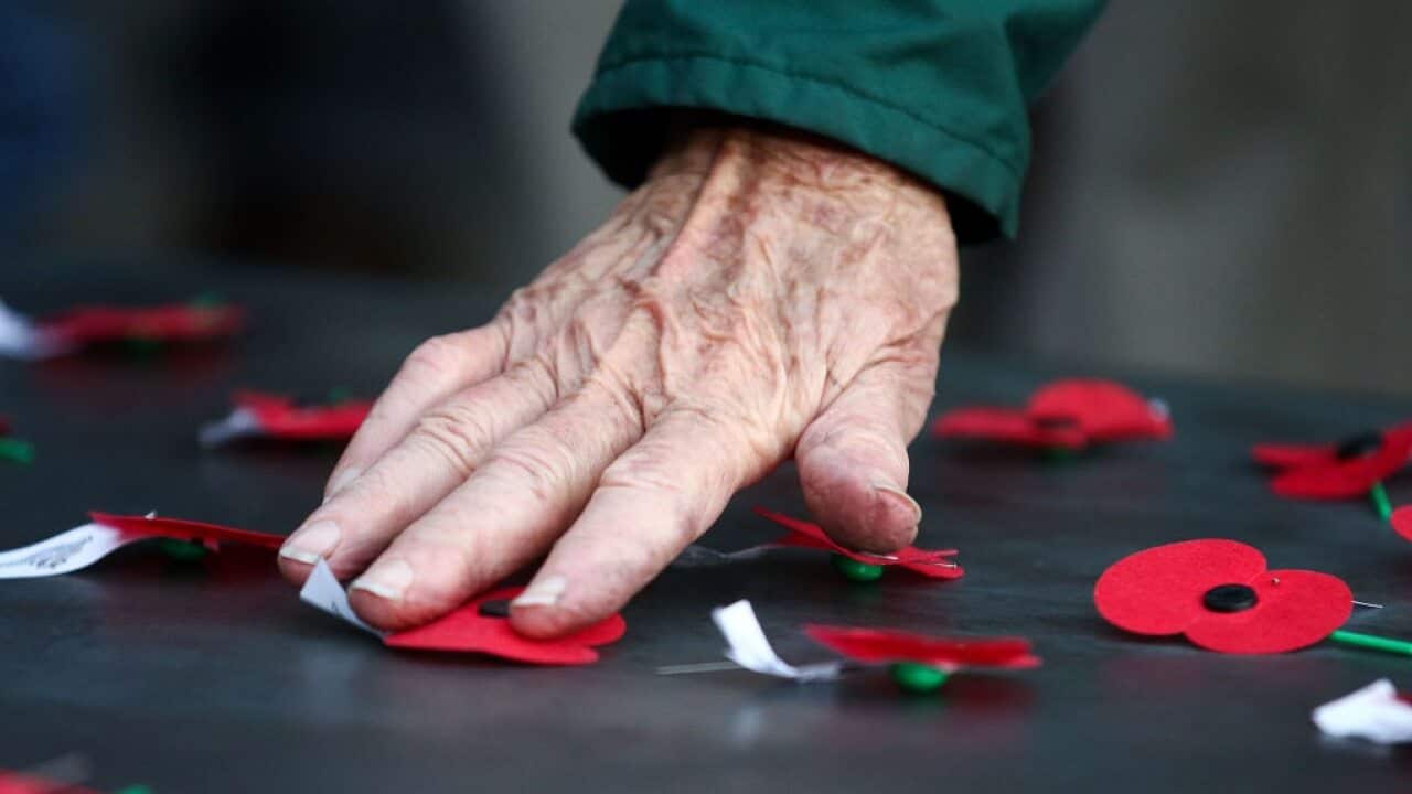 As papoilas vermelhas são um dos símbolos mais fortes do Anzac Day, tal como os biscoitos de Anzac e o alecrim