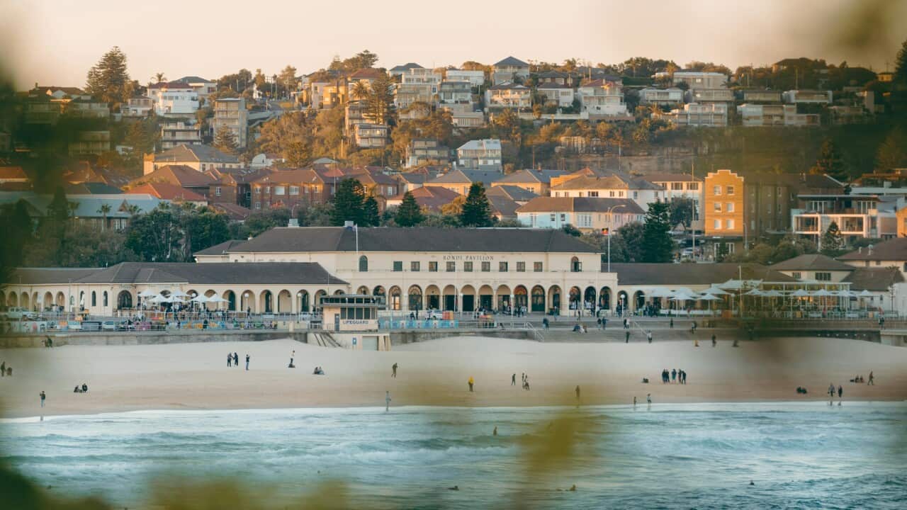 SBS brings communities together at Bondi Pavilion for Harmony Week multilingual broadcast