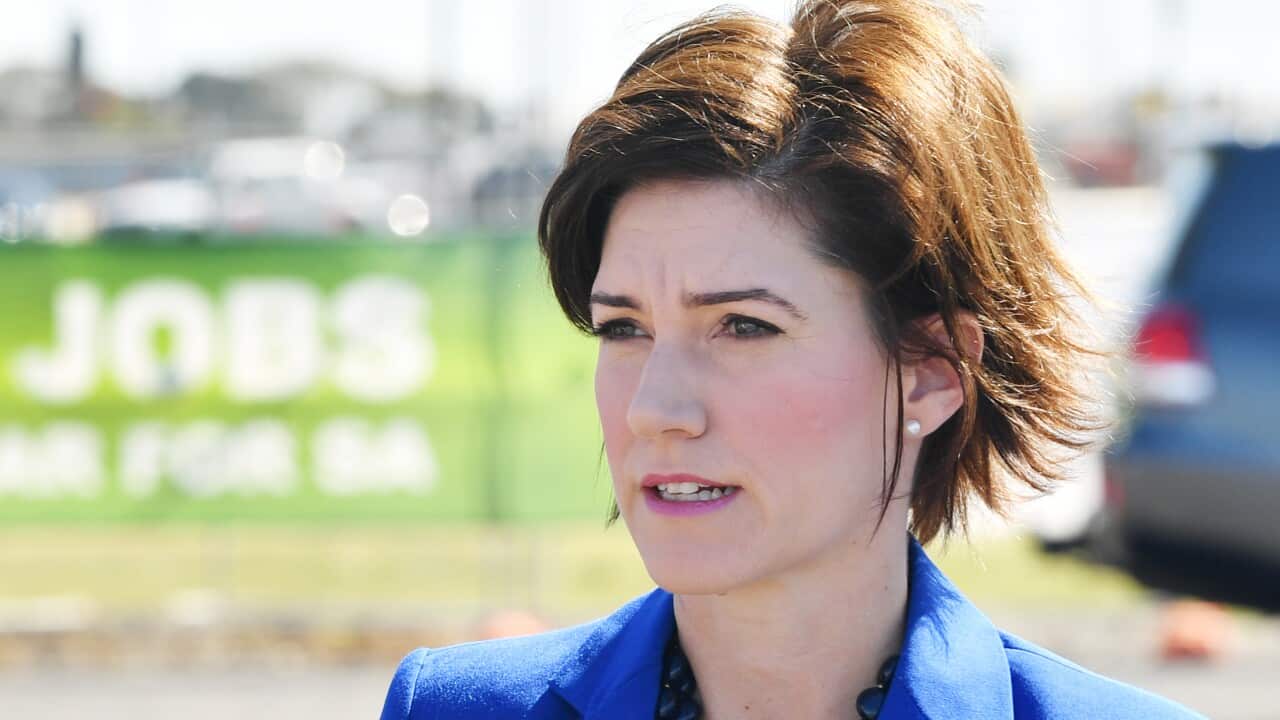 Liberal Party member for Boothby Nicolle Flint is seen in Adelaide in November 2019.